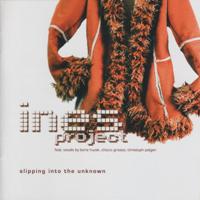 Cover INES: Slipping Into The Unknown
