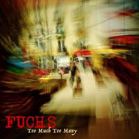 Cover FUCHS: Too Much Too Many